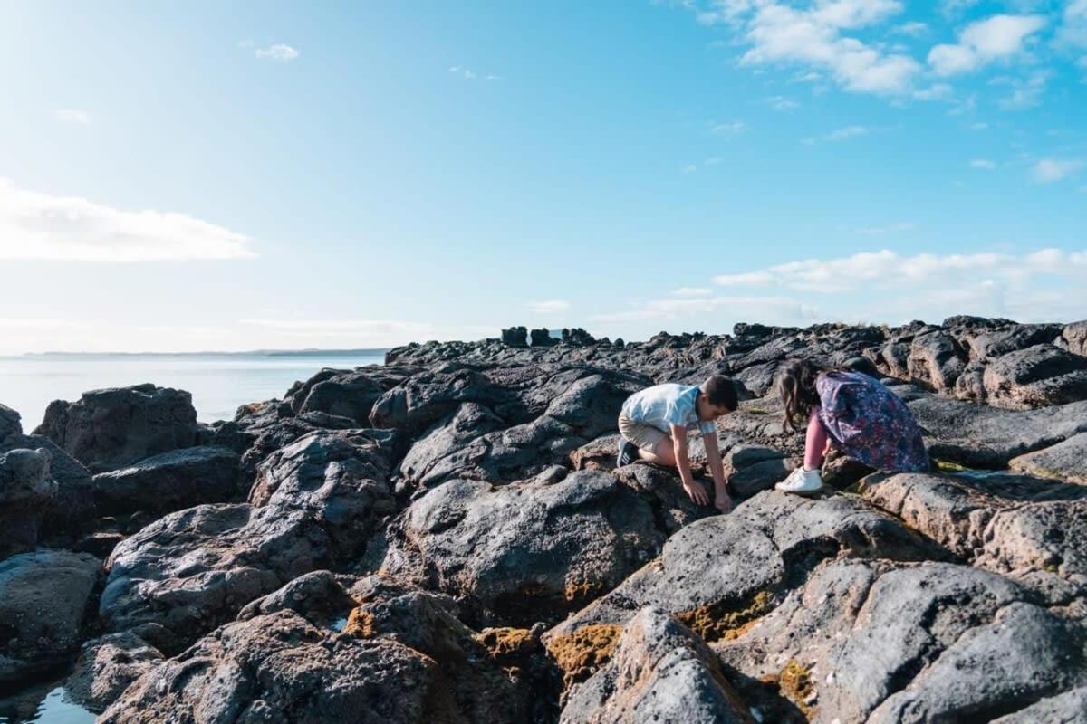 Takapuna Beachfront W Stunning Views Окленд Экстерьер фото
